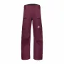 Mammut Stoney HS Herren wasserdichte Hose Vin