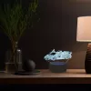 Manta SNL64RGB LED-Lampe Licht Dekoration Auto 3D RGB