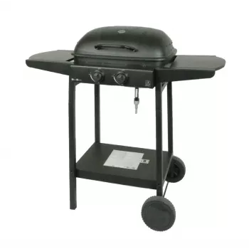 MASTER GRILL Master Gas Grill 2-Brenner MG672