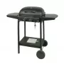 MASTER GRILL Master Gas Grill 2-Brenner MG672