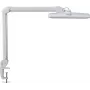 MAUL LED Schreibtischleuchte Intro dimmbar mit Klemmfuß Weiß