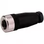 Murrelektronik M12 Buchse 5-polig A-kodiert Schraubklemmen Feldkonfektionierbarer Steckverbinder, IP67 7000-12961-0000000