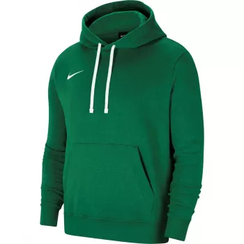 Nike Park 20 Kapuzenpullover Pine Green CW6957-302