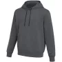 Nike Park 26 Fleece Herren Kapuzenpullover Dark Grey Heather XS