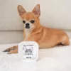 PAKA ZWIERZAKA Game and Salmon Nassfutter für Hunde - 150g