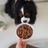 Paka Zwierzaka Pepe Hirsch Nassfutter für Hunde 400g