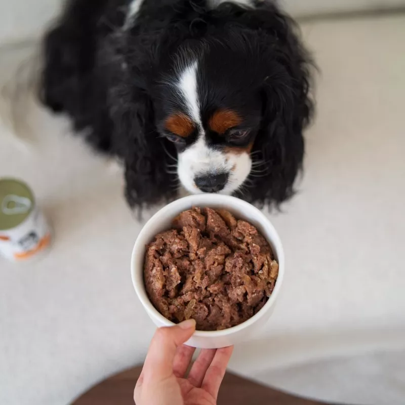 Paka Zwierzaka Pepe Hirsch Nassfutter für Hunde 400g