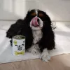 Paka Zwierzaka Pepe Truthuhn Nassfutter für Hunde 400g