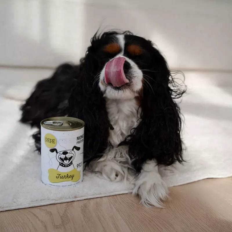 Paka Zwierzaka Pepe Truthuhn Nassfutter für Hunde 400g