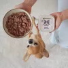 PAKA ZWIERZAKA Turkey and Cranberries Nassfutter für Hunde – Getreidefrei, 150 g Beutel