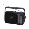 Panasonic RF-2400DEG-K tragbares analoges AM/FM-Radio - Schwarz