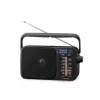 Panasonic RF-2400DEG-K tragbares analoges AM/FM-Radio - Schwarz