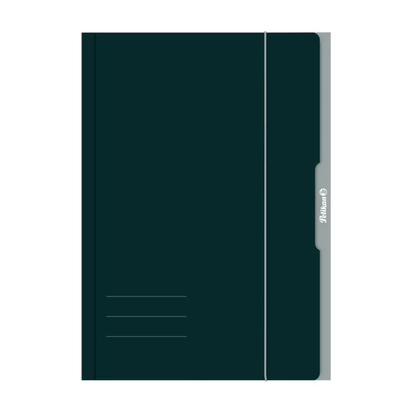 Pelikan 276856 Umlaufmappe A3 Karton Grün