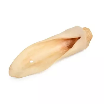 PETMEX Chew Lamb Ear White Dog Treat 10 Stück