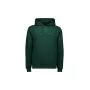 POC Hoodie mit Kapuze - Pargasite Green (Größe S)