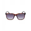 POLICE Herren Sonnenbrille SPLN34M540878 Havana Acetat Gestell Braune Gläser 54mm
