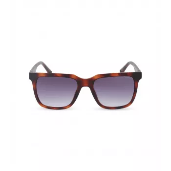 POLICE Herren Sonnenbrille SPLN34M540878 Havana Acetat Gestell Braune Gläser 54mm