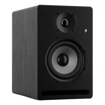 Prodipe Pro 5 V4 Aktiv-Studiomonitor (Einzeln) - 5.25 Zoll Woofer, 75W Bi-verstärkt, XLR/TRS/RCA
