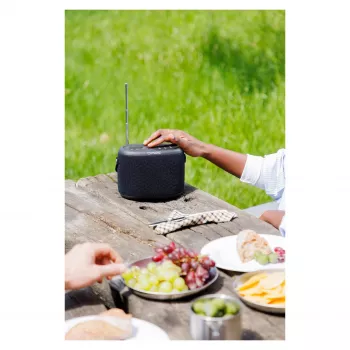 PURE ACOUSTICS Pure Woodland Tragbarer Bluetooth-Lautsprecher – 10W, wasserdicht, FM/DAB+ Radio, Schwarz (253344)