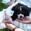 PZW Paka Zwierzaka Lio Pepe Gefriergetrocknete Rinderherzen Leckerli für Hunde & Katzen 60g