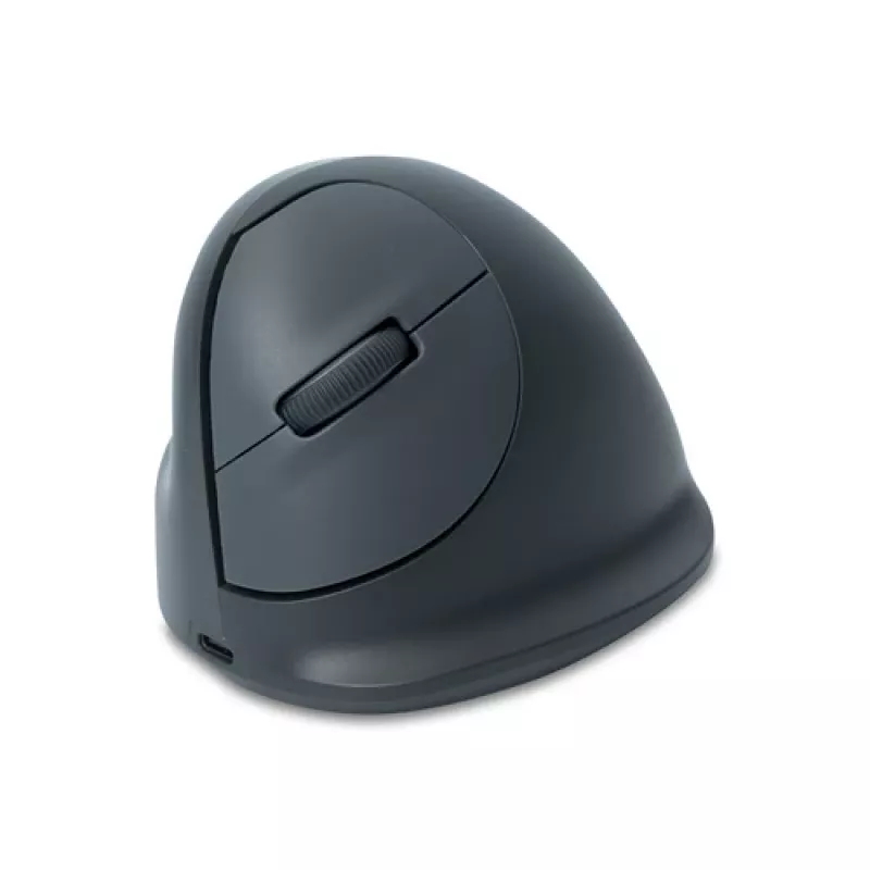 R-GO TOOLS R-Go HE Basic Medium Kabellose ergonomische vertikale Maus - 2,4 GHz Optisch, 5 Tasten, Wiederaufladbar, Schwarz