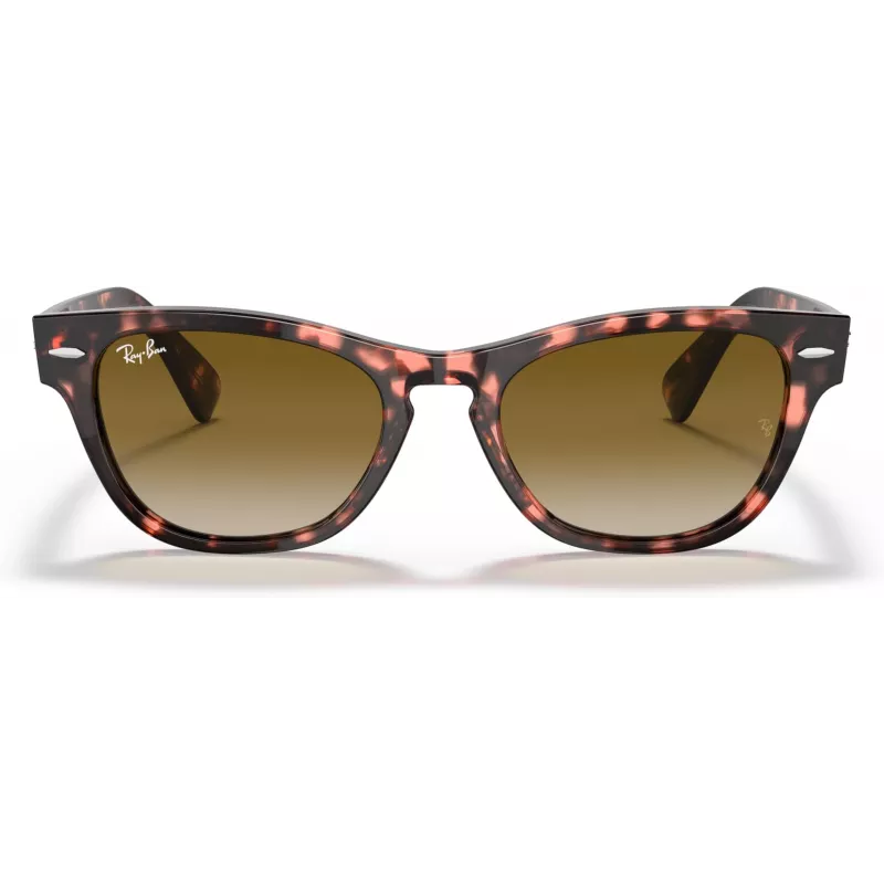 Ray-Ban Frank Square Sonnenbrille RB2201 133451 54/17/145 mm