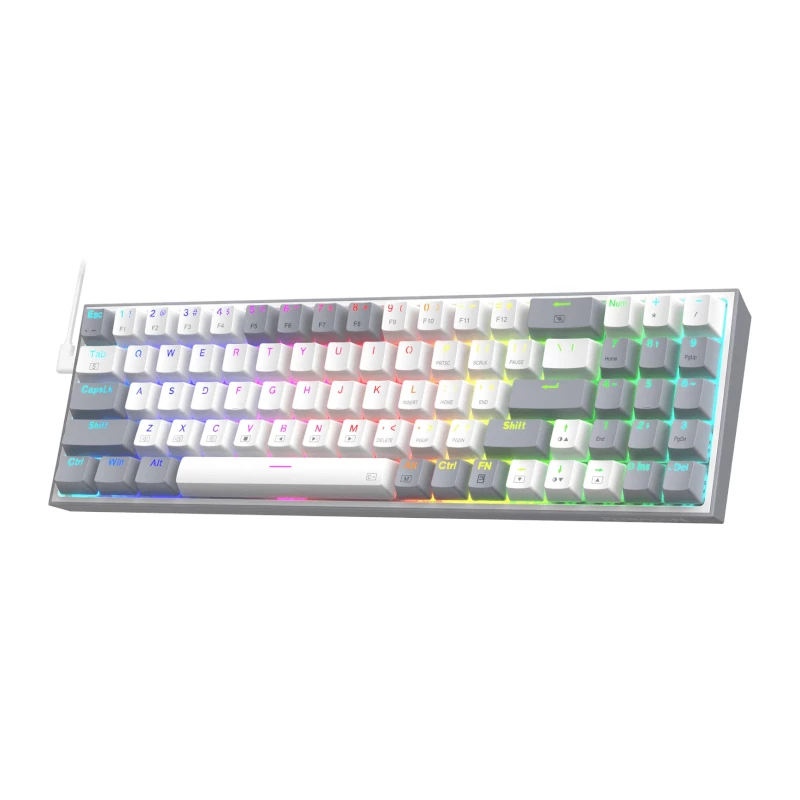 REDRAGON Pollux 65% kabelgebundene mechanische Gaming-Tastatur, Hot-Swap-fähige rote Switches, RGB-Hintergrundbeleuchtung, abnehmbares USB-C, NKRO, Schwarz