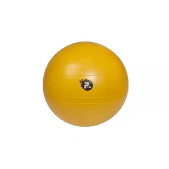 REHA FUND PILO-1045 Rehabilitationsball ABS 65 cm Silber/Grau