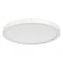 RIDI SARA290 Renovierungs-Downlight D=290mm 830/840