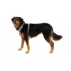Ruffwear Front Range Geschirr XS - River Rock Green
