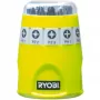 RYOBI RAK10SD 10-teiliger Schraubendreher-Bitsatz (Grün)