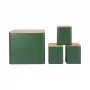 Salter BW12900G Toronto 4-teiliges Arbeitsplatten-Set, Grün