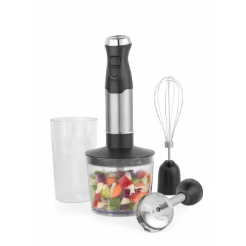 Salter EK6653VDE 4-in-1 Mixerset, 500W, 1,5L Glasbehälter, Schwarz/Silber