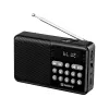 SANDBERG Speaker Radio FM+BT Recharge Tragbarer Bluetooth-Lautsprecher mit FM-Radio, AUX, USB, MicroSD, 6W, Schwarz
