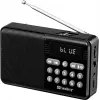SANDBERG Speaker Radio FM+BT Recharge Tragbarer Bluetooth-Lautsprecher mit FM-Radio, AUX, USB, MicroSD, 6W, Schwarz