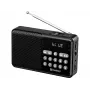 SANDBERG Speaker Radio FM+BT Recharge Tragbarer Bluetooth-Lautsprecher mit FM-Radio, AUX, USB, MicroSD, 6W, Schwarz