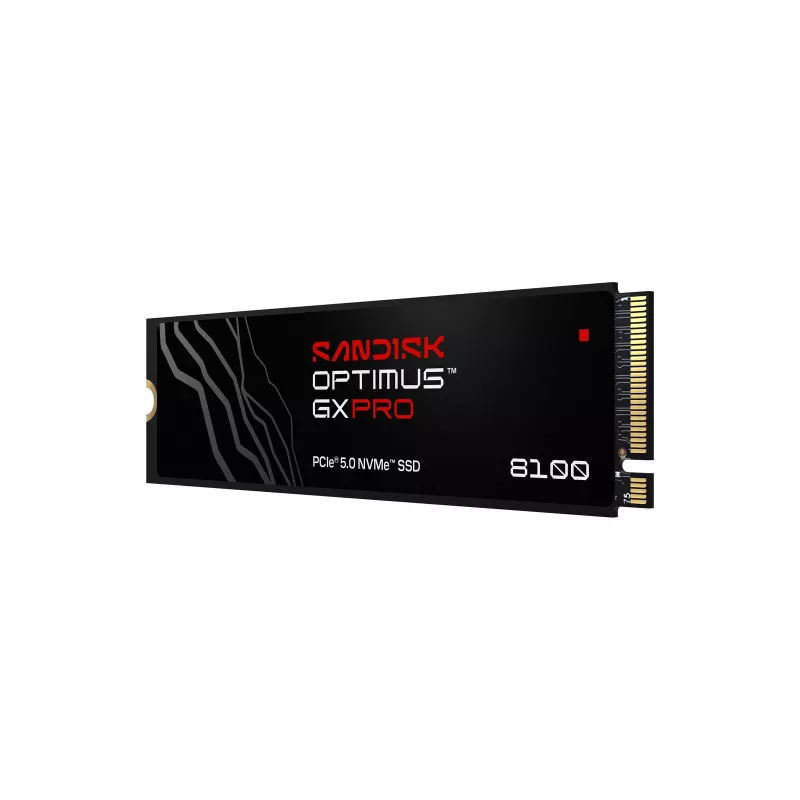 SanDisk interne SSD Optimus GX PRO 8100, 4TB (00233410)
