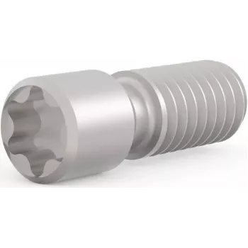 SCHROFF Gewindestift M2,5 x 9 mm Torx T8, Stahl, 100 Stück (21102980)