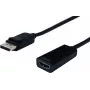 SECOMP STANDARD DisplayPort-auf-HDMI-Adapter, v1.2, DP Stecker auf HDMI Buchse (S3204)