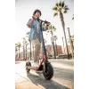Segway Ninebot eKickscooter D38E Schwarz Rot