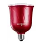 Sengled Pulse Master Red Smart LED-Lampe mit JBL-Lautsprecher, 600 Lumen, 2700K, BR30, E26