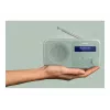 Sharp Tokyo DR-P420(GN) tragbares DAB+/FM-Radio, Bluetooth 5.3, Aquamaringrün