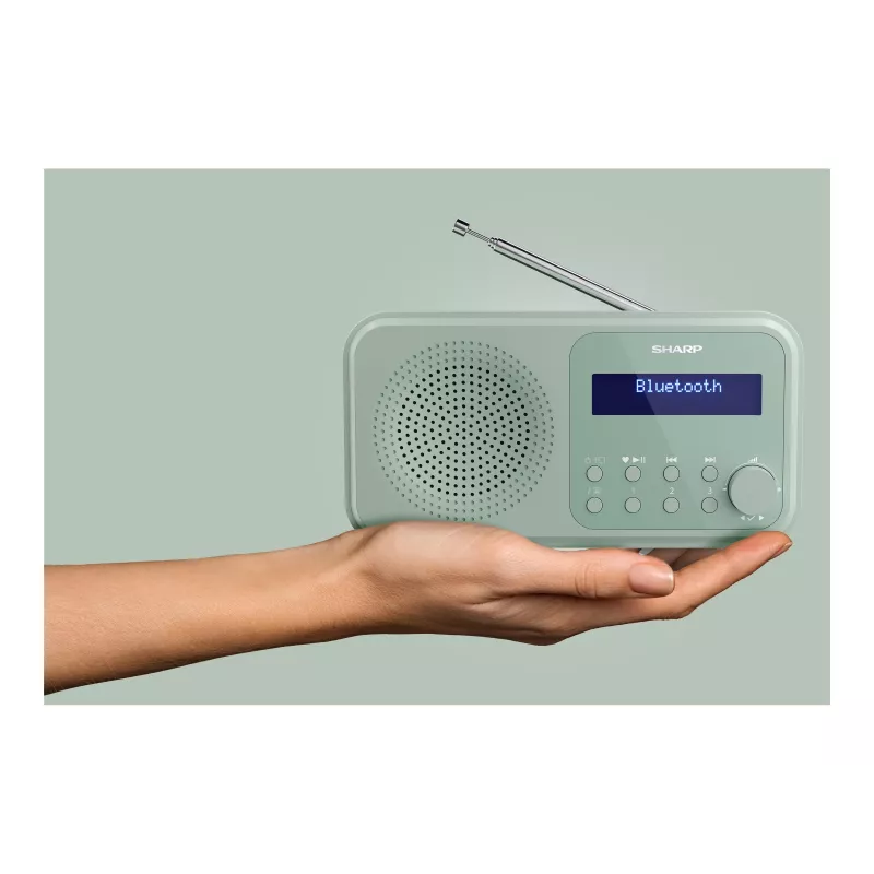 Sharp Tokyo DR-P420(GN) tragbares DAB+/FM-Radio, Bluetooth 5.3, Aquamaringrün