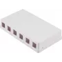 SHIVERPEAKS Keystone Aufputzdose, 6-Port, Weiß (BS08-10118)