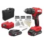SKIL Akku-Bohrschrauber 3021HC 20V 2X2AH
