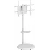 SpeaKa Professional SP-TVS-800 höhenverstellbarer, neigbarer TV-Bodenständer für 37-86 Zoll Bildschirme, VESA 200x200 bis 800x500, 50 kg, Schwarz