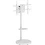 SpeaKa Professional SP-TVS-800 höhenverstellbarer, neigbarer TV-Bodenständer für 37-86 Zoll Bildschirme, VESA 200x200 bis 800x500, 50 kg, Schwarz