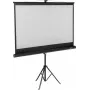 SpeaKa Professional Stativ-Leinwand 240 x 135 cm 16:9 SP-PST-360 SP-9430136