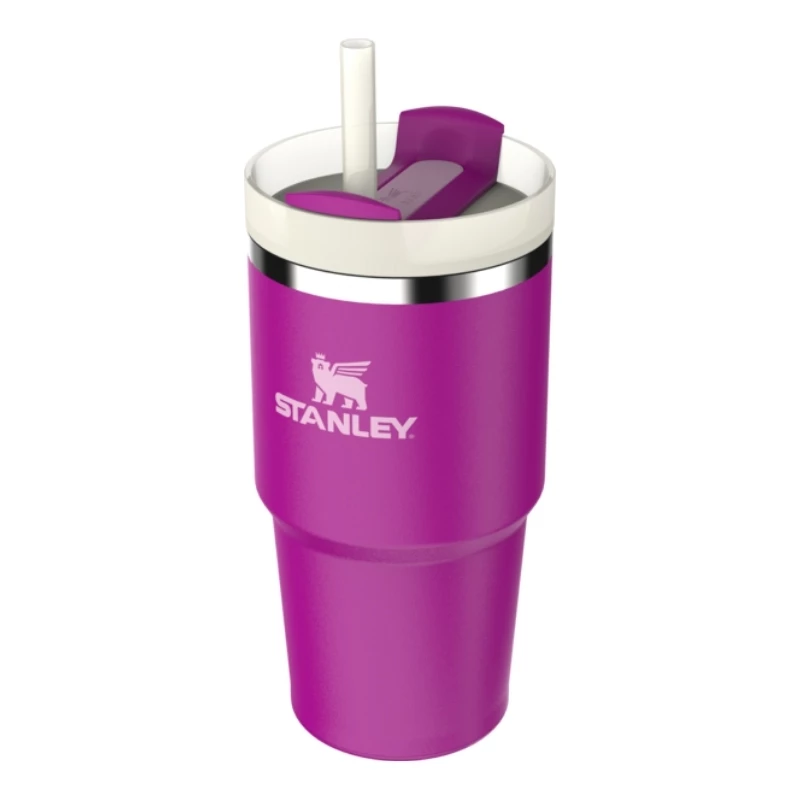 STANLEY The Quencher H2.O FlowState Becher mit Strohhalm 0,59L Lila