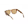 Sonnenbrille WEB EYEWEAR Herren WE0315-0041F (Lens/Bridge/Temple) 00/0/145 mm